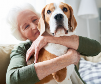Pets Can Help Lower a Senior’s Stress Level