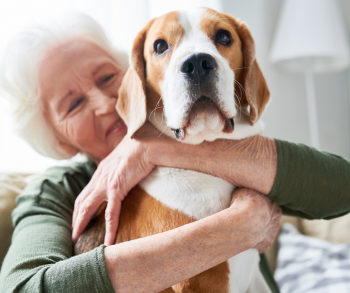 Should Your Senior Adopt a Pet?