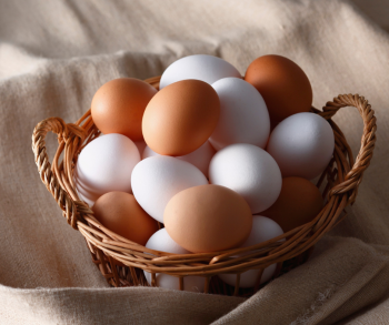 How Can Seniors Enjoy Eggs in Their Diets?